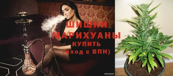 стаф Вязники