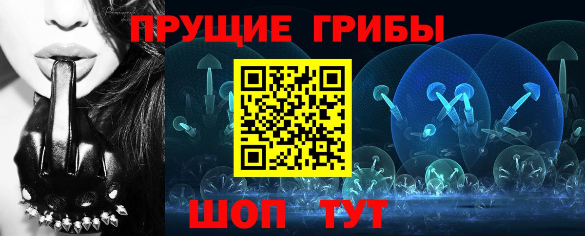 Галлюциногенные грибы Psilocybe  Вход с VPN  Чита 